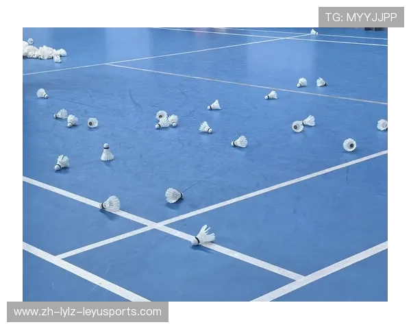 羽毛球有多少种球