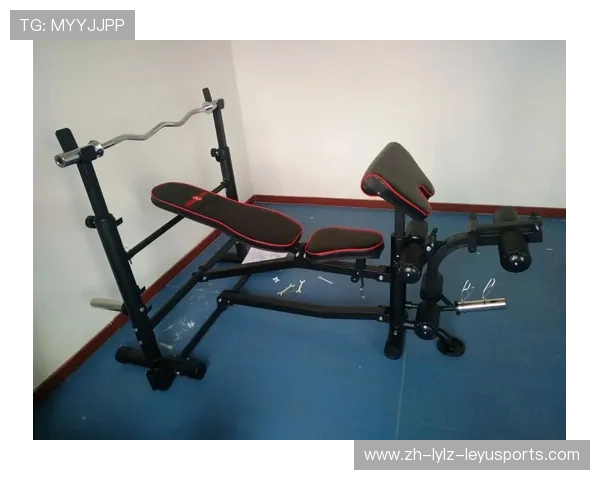 精品室内健身器材种类及适用人群介绍