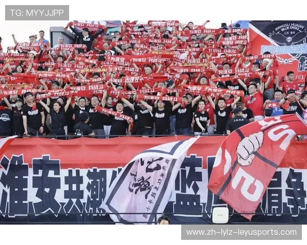 足球赛事中的观众与球迷文化